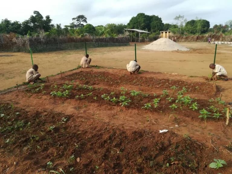 Agriculture and education initiative in Benin