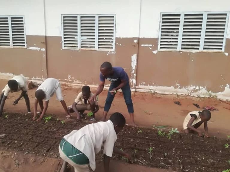 Humanitarian project field activity