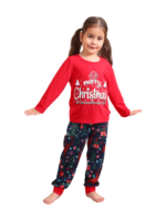 Rood blauwe familie Vrolijk kerstfeest bedrukte pyjama met patronen