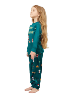 Grüner Weihnachtsfamilienpyjama, Weihnachtsmann und sein Schlitten